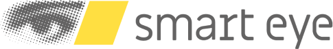 Smart eye